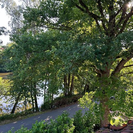 Villa Am See 巴特萨克萨 外观 照片