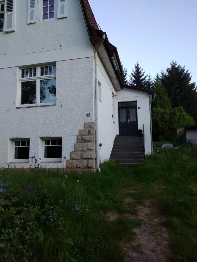Villa Am See 巴特萨克萨 外观 照片