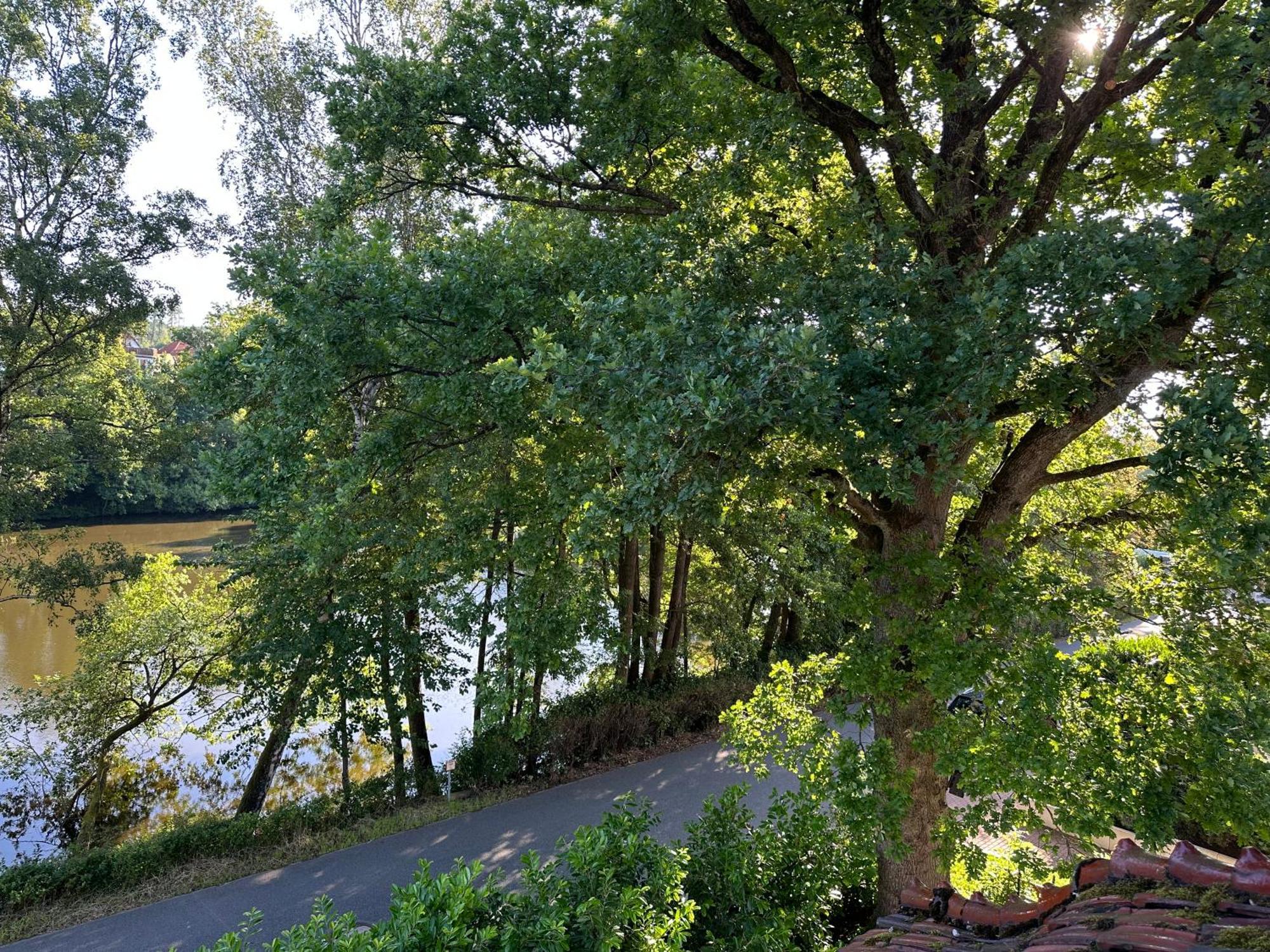 Villa Am See 巴特萨克萨 外观 照片